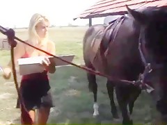 Riding on the cock of the dog