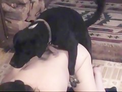 Joined the animal with help of his friend