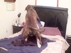 Dog and woman in a hotel