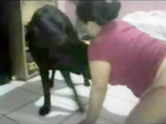 The union to fuck with the animal