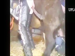 Sexo con amor con su perro