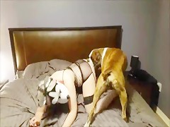 Besando y chupando el rabo hermoso de este caballo