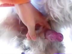 Thumb 7