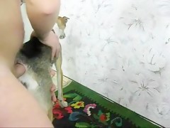 horny dog fuck hard 