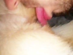 dog pussy