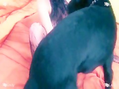 animal princess