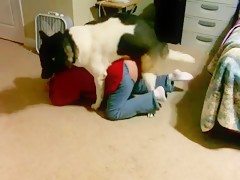 horny bitch