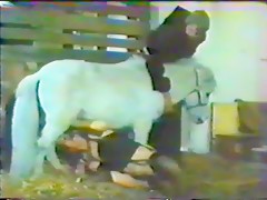 Horse Lovers 2