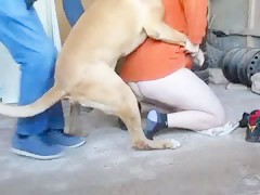 Mi hermano me ayuda a follar con el perro