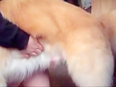 Amateur Webcam Fun PetSex
