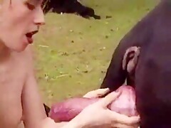 Huge dog cook
