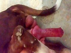 Thumb 3