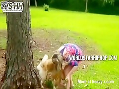 Dog piss