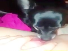 GOOD LICK CLIT
