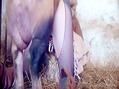 Pigleting