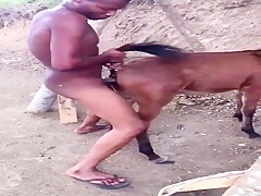 Fem donkey fuck