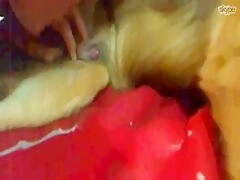 skipe
