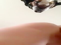 rico 2