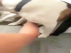 threesome