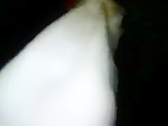 cow licking dick